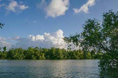 全国武术比赛吸引数千选手同台竞技，2021年全国武术比赛有哪些